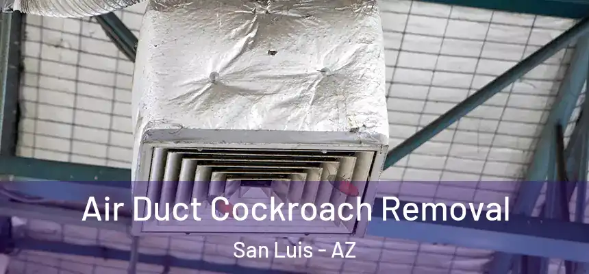 Air Duct Cockroach Removal San Luis - AZ