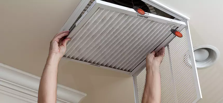 Preventive Cockroach-Proofing for Ducts in San Luis