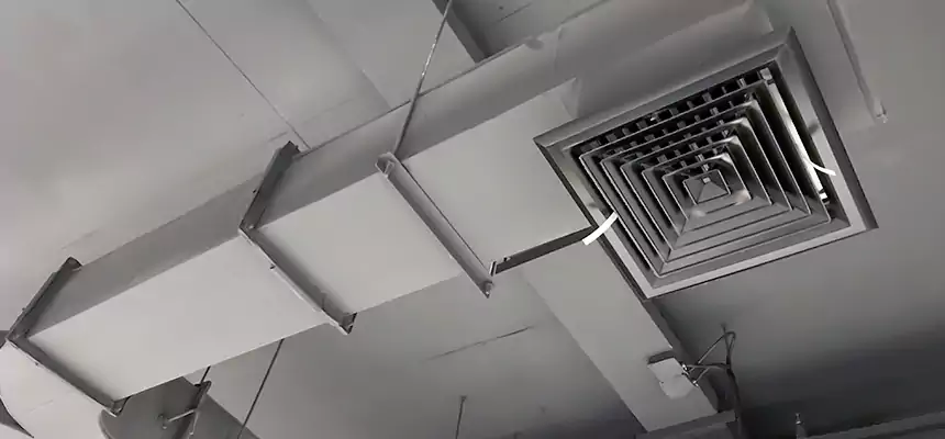 Restorative Allergy Relief Vent Cleaning – Coil, Blower & Housing Detail in San Luis