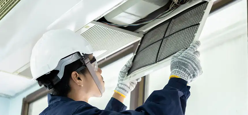 Our Lint Trap Cleaning Service Services in San Luis, AZ