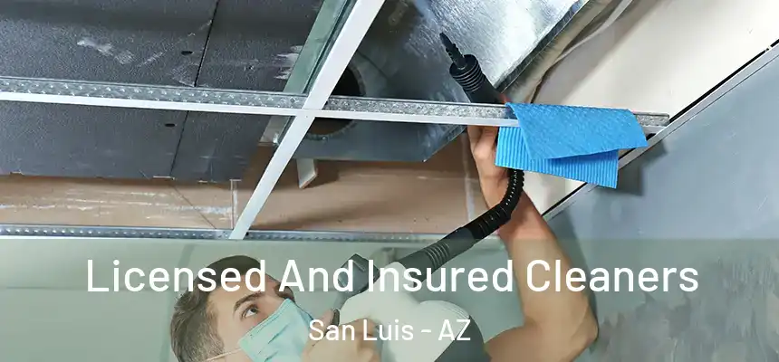  Licensed And Insured Cleaners San Luis - AZ