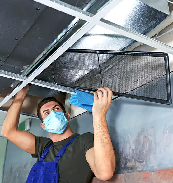 About Air Duct Bacteria Removal in San Luis