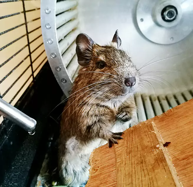 Why Homeowners & Businesses Trust Us San Luis, AZ