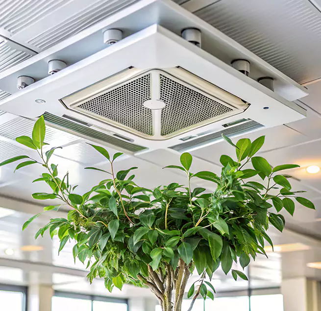 Why Homeowners & Businesses Trust Us in San Luis, AZ?