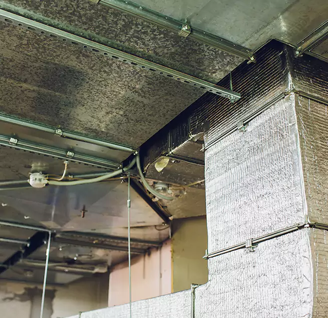 Why Homeowners & Businesses Trust Us in San Luis, AZ?